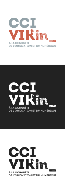 CCIVIKING